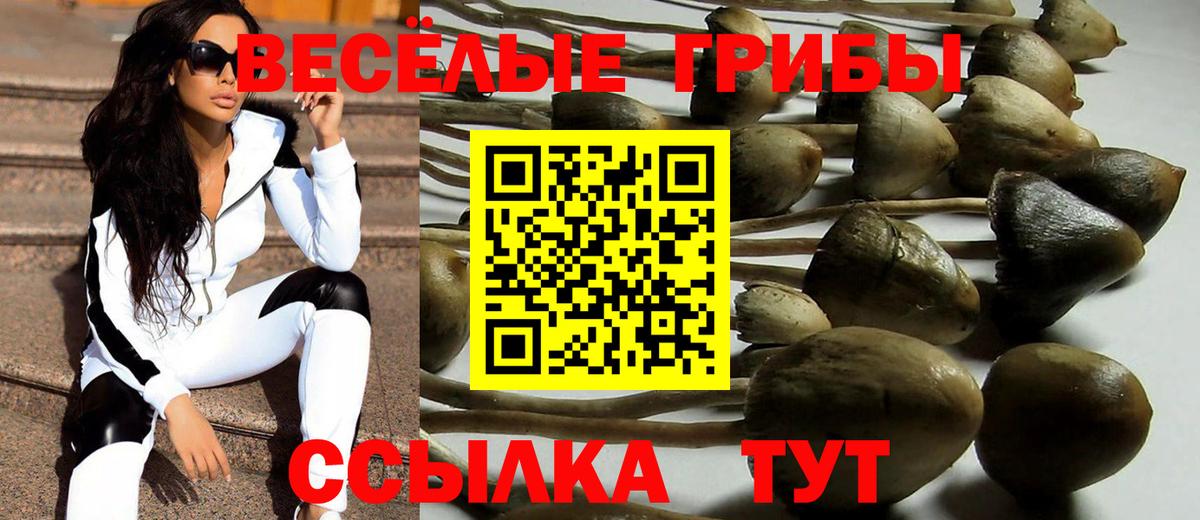 Галлюциногенные грибы мухоморы  Псилоцибиновые грибы Psilocybe  Вход с VPN  Камень-на-Оби 